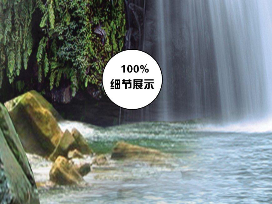 小长颈鹿逃离